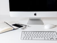 Tech Startups Surge in 2024: Here’s How They’re Redefining Business Growth