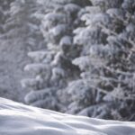 2023 Insurance Changes: What You Need to Know for Maximum Savings