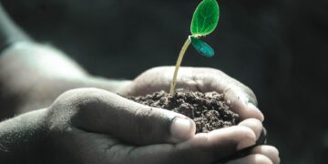 2023 Insurance Changes: What You Need to Know for Maximum Savings