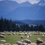 Day Trading Surge: Strategies to Capitalize on Today’s Volatile Market Trends